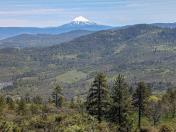 PXL_20240422_185123459